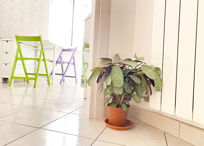 Ophele House Appartamento *