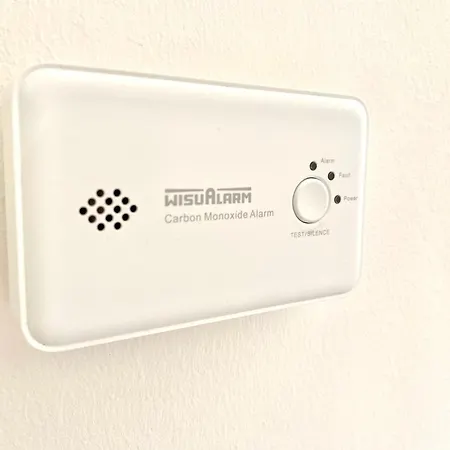 Apartament Ophele House *